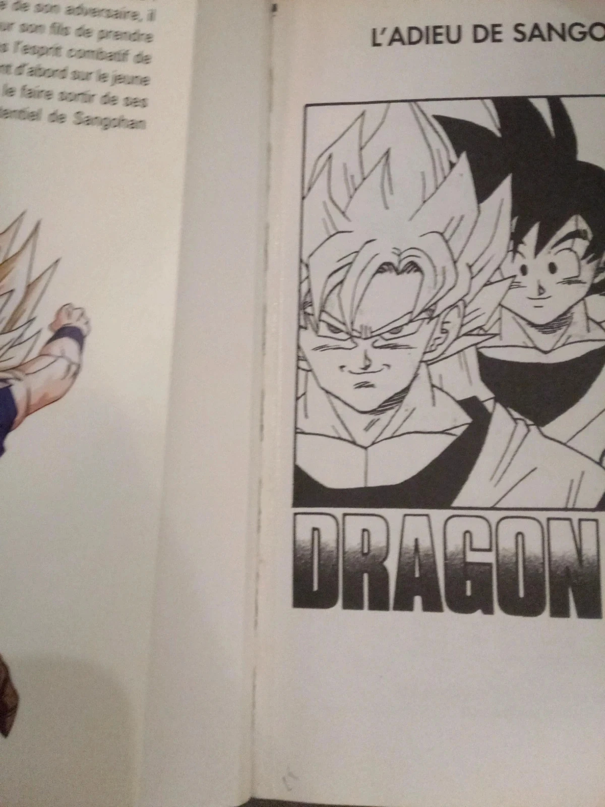 Dragon ball 35 édition pastel – photo 4